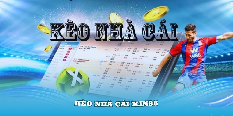 Kèo Nhà Cái Xin88 Và Cách Đọc Chuẩn Xác Nhất Bạn Nên Biết